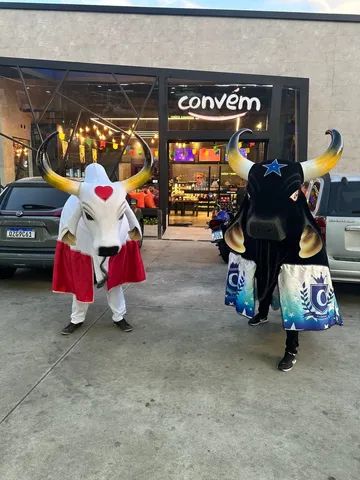 Caprichoso e Garantido para seu evento 