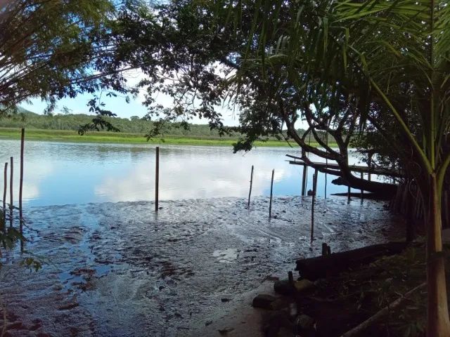 Rancho de Pesca/Rio Ribeira de Iguape/2 Casas/2400 m2/Fácil Acesso - Foto 3