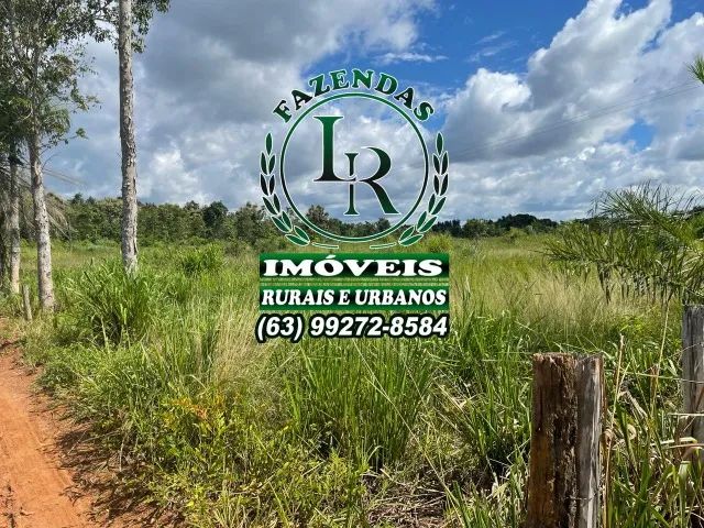 Chácara 1.5 alqueires Próximo a Araguaina Tocantins - Foto 2