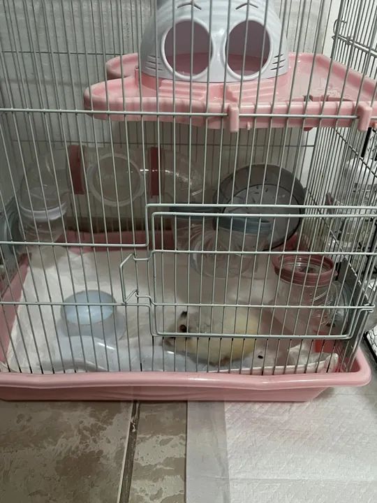 Gaiola para Roedores - 2 Andares