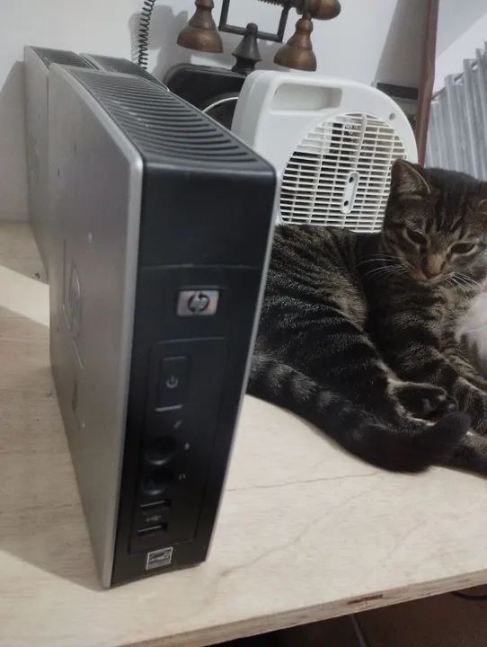 Thin Client hp T5145 (mini PC)