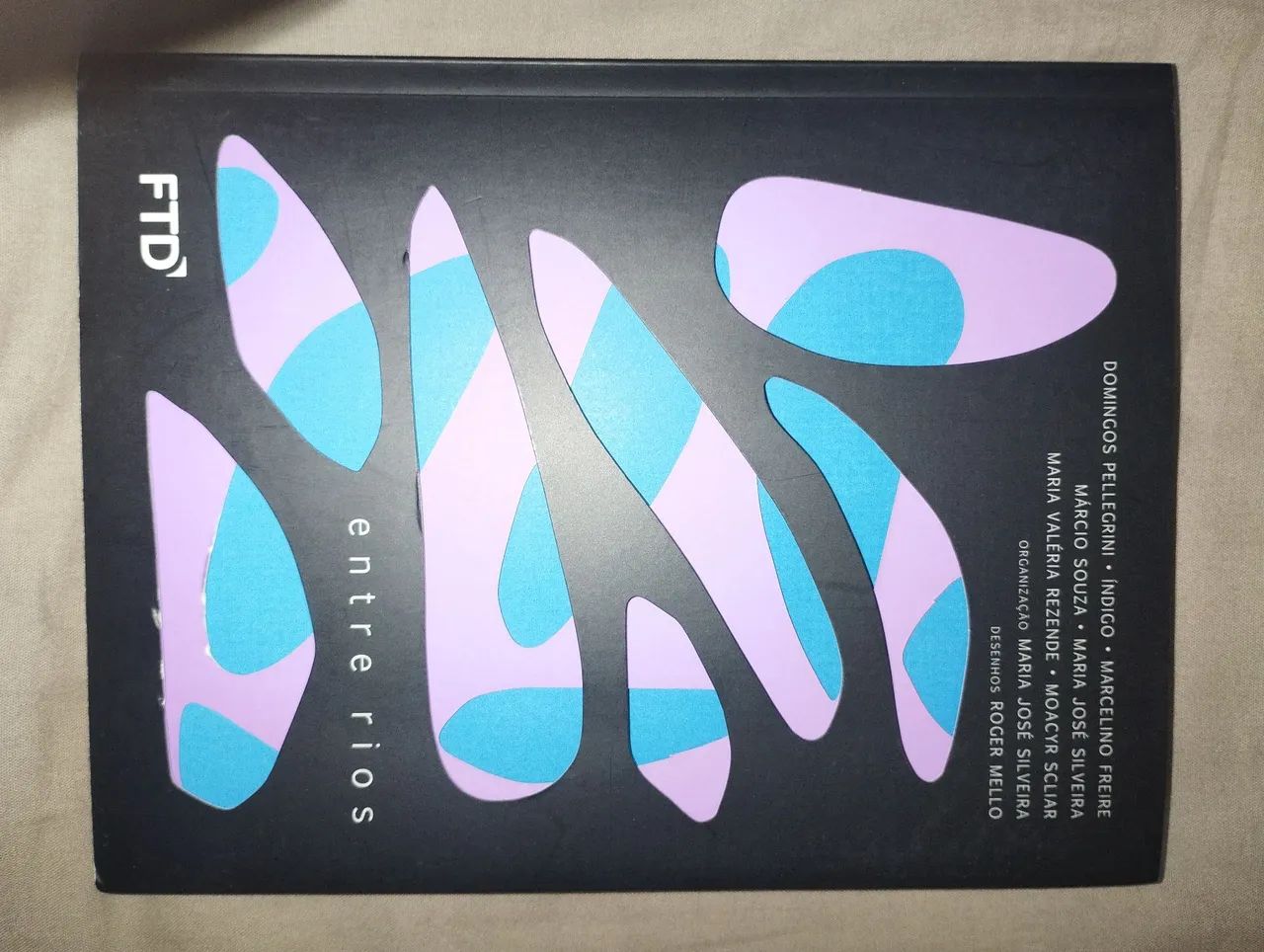 Livro Entre Rios - ilustrado FTD