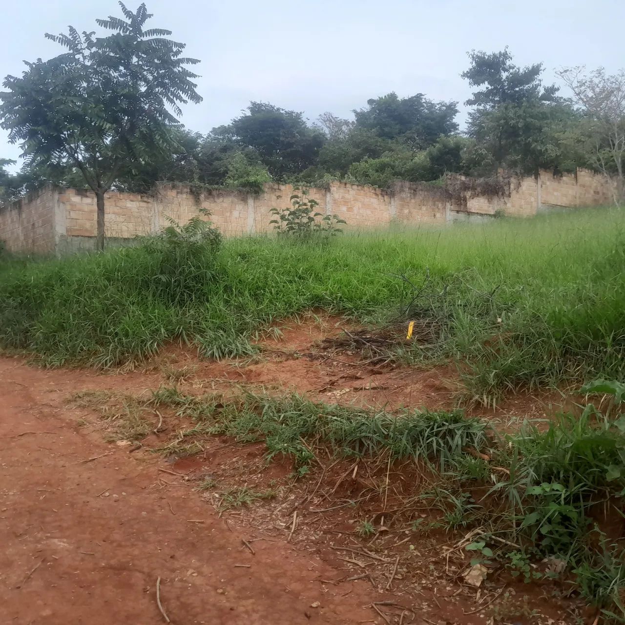Lotes de 300 mts - Foto 5