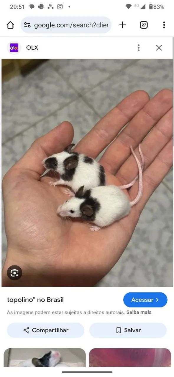 Toca Animais Pet ( Roedores) - Foto 5