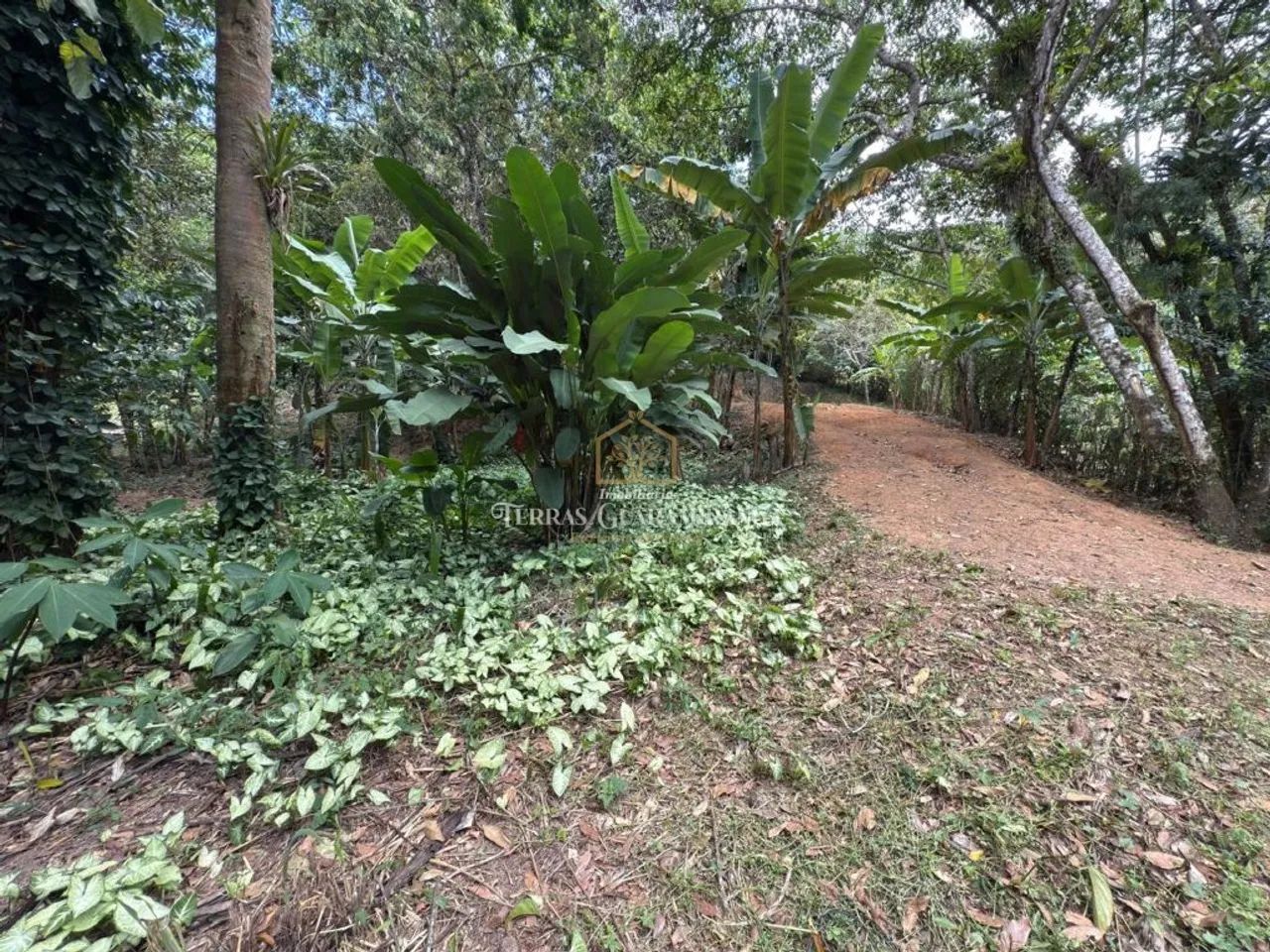 TERRENO DE 5.424,87m² localizado proximo ao centro de Pacoti
