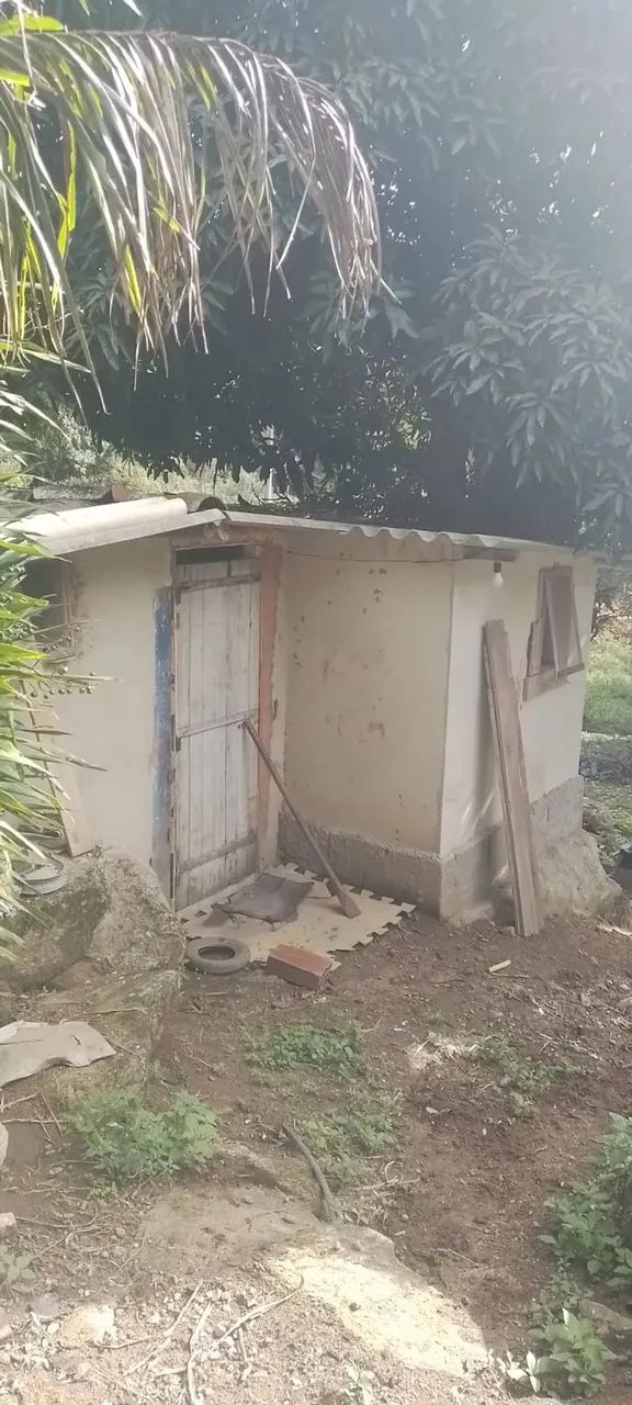 Sítio para venda em Sodrelândia na Região Serrana em Trajano de Morais/RJ, 6,5 Alqueires,  - Foto 5