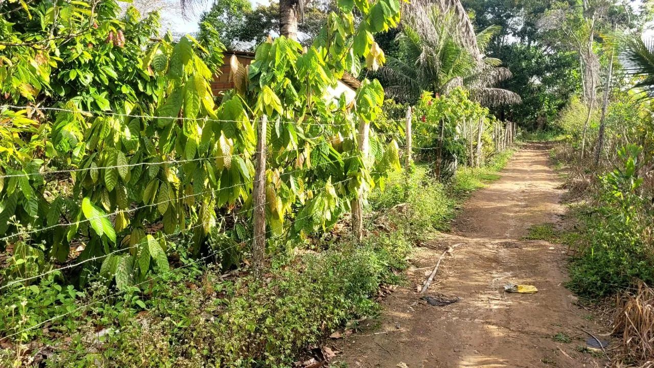 Vendo sítio em Valença Bahia  - Foto 5
