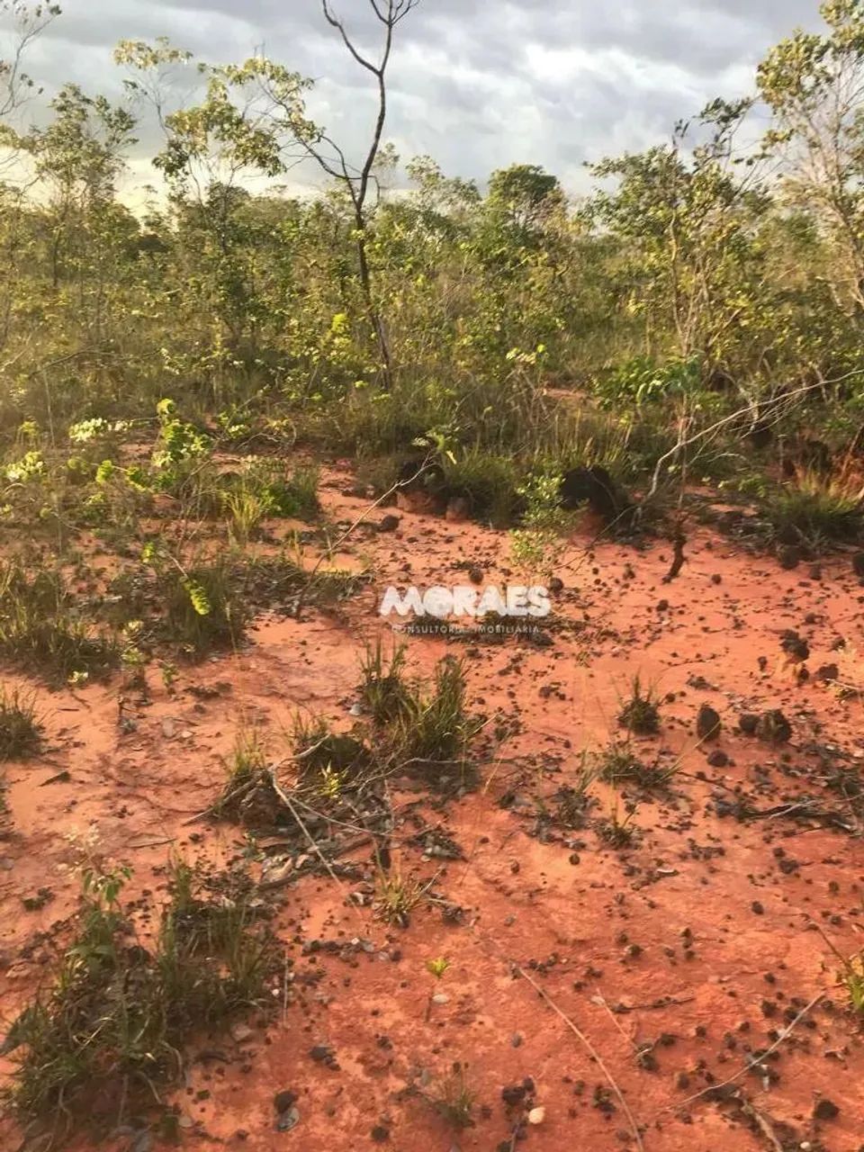 Fazenda à venda, 1.854 Hectares por R$ 12.000.000 - Lizarda/TO - Foto 4