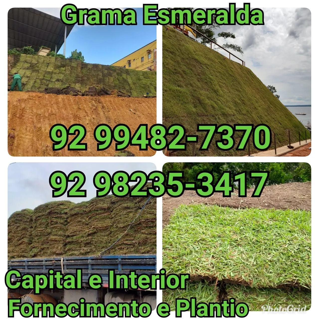 Grama Esmeralda - Jardim e Terra preta