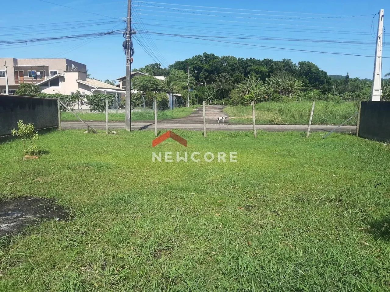 Lote em Rua da Palmeira Real - Vargem Grande - Florianópolis/SC - Foto 5