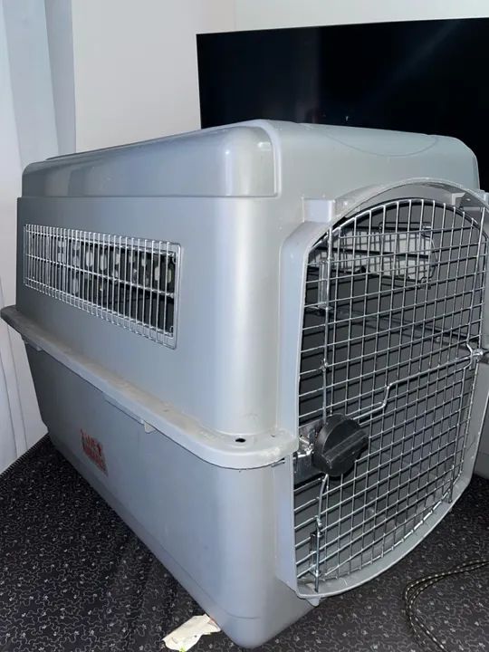 caixa de transporte animais - grande - Foto 2