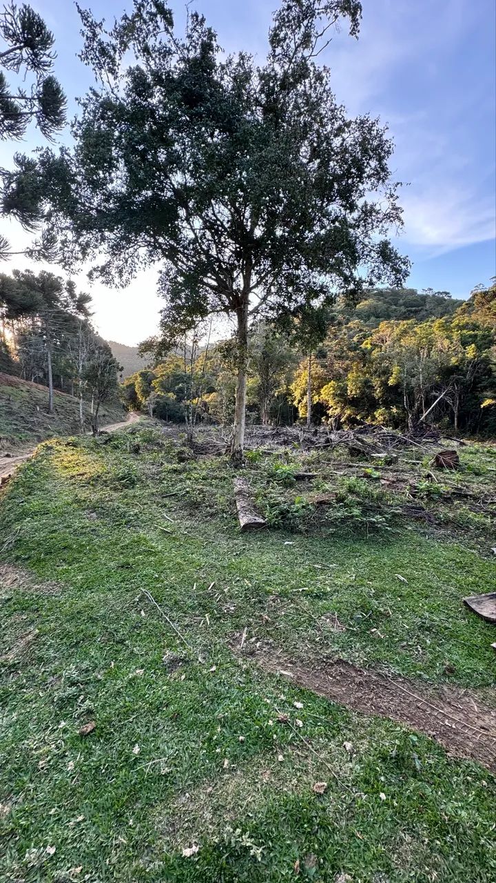 Chácara R$35.000 - Foto 9