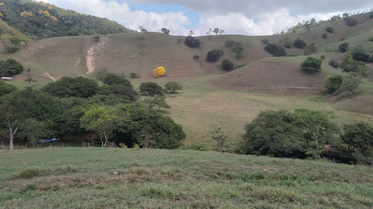 Fazenda com 130 hectares 