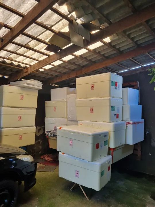 Caixa Térmica para Transporte de Alimentos