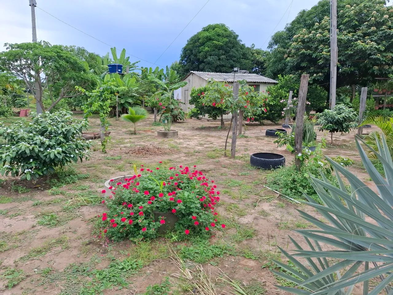  Vendo ou troco chácara 100X386m; área da vila Nova Esperança, Bonfim, há 52 km/Boa Vista. - Foto 2