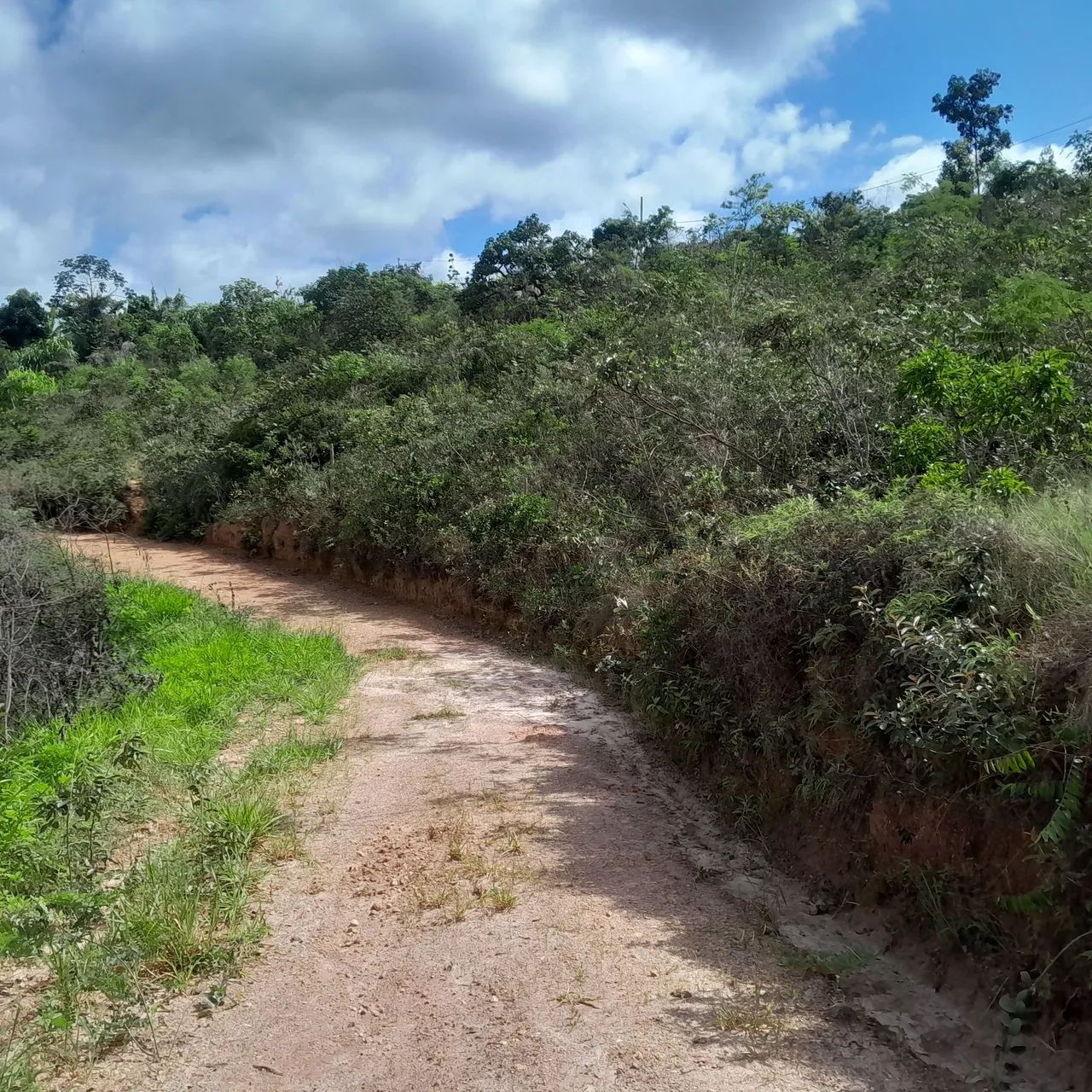 Terreno com vista espetacular em área verde - Foto 2
