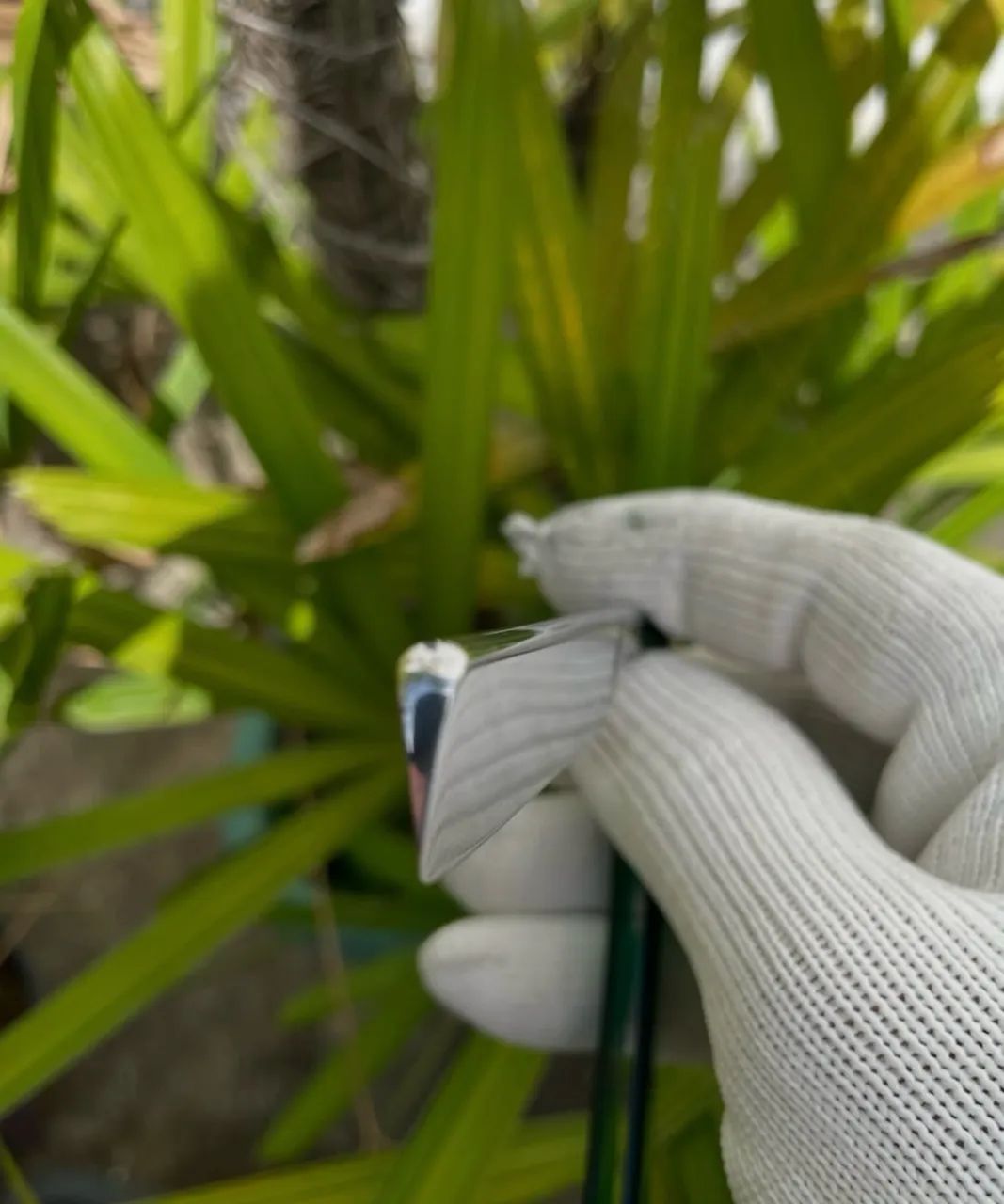 Navalha Bengal Wedge - Foto 3