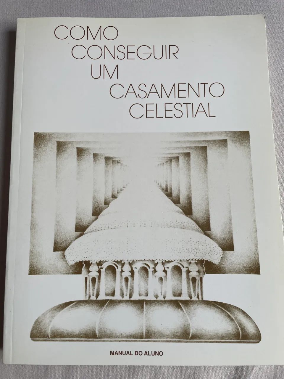 Livro Como Conseguir Um Casamento Celestial 