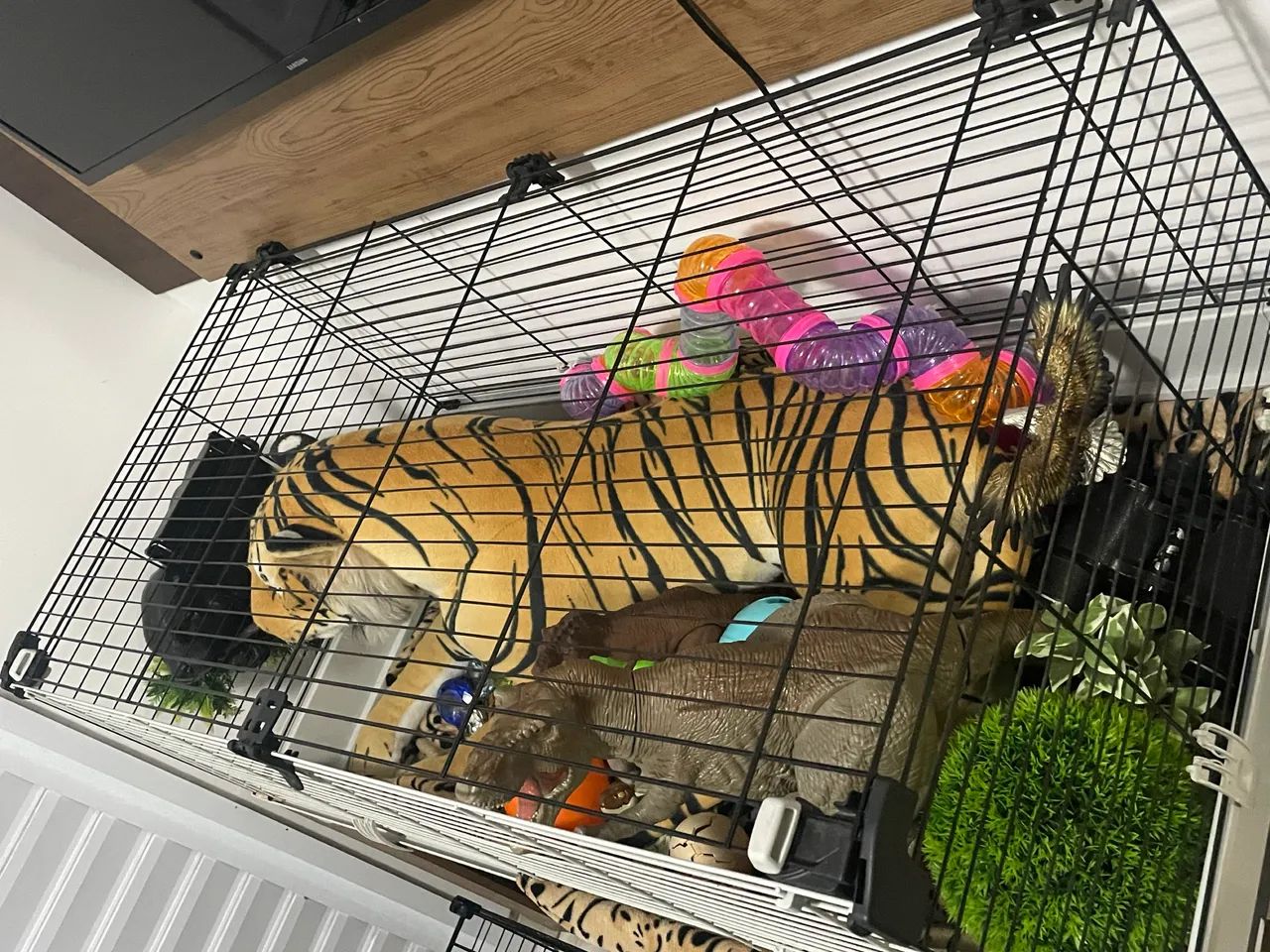 Gaiola Roedor - Foto 3