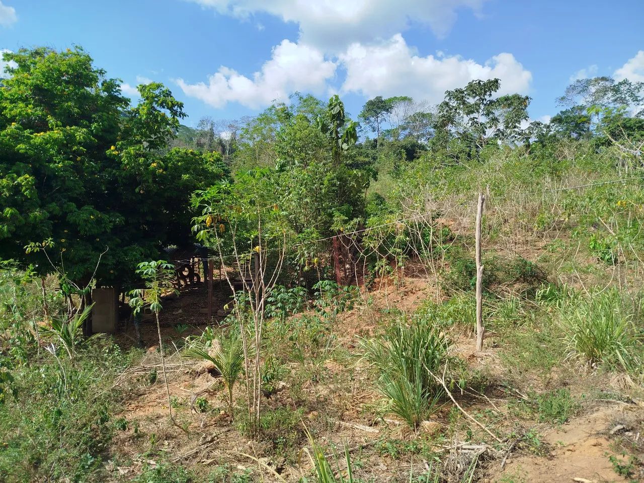 Chácara com Poço e energia  - Foto 13