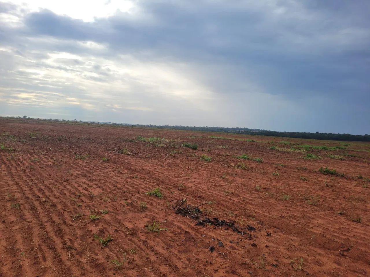 Fazenda  "Oportunidade" - Foto 2
