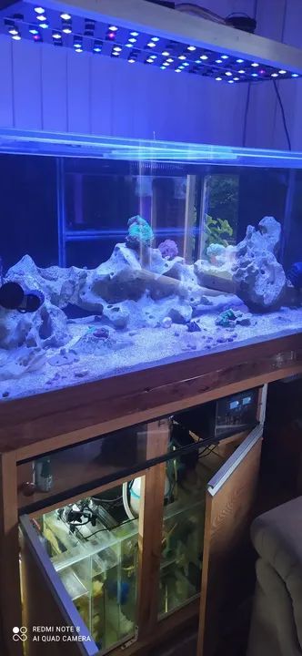 Aquário Completo com Iluminação LED