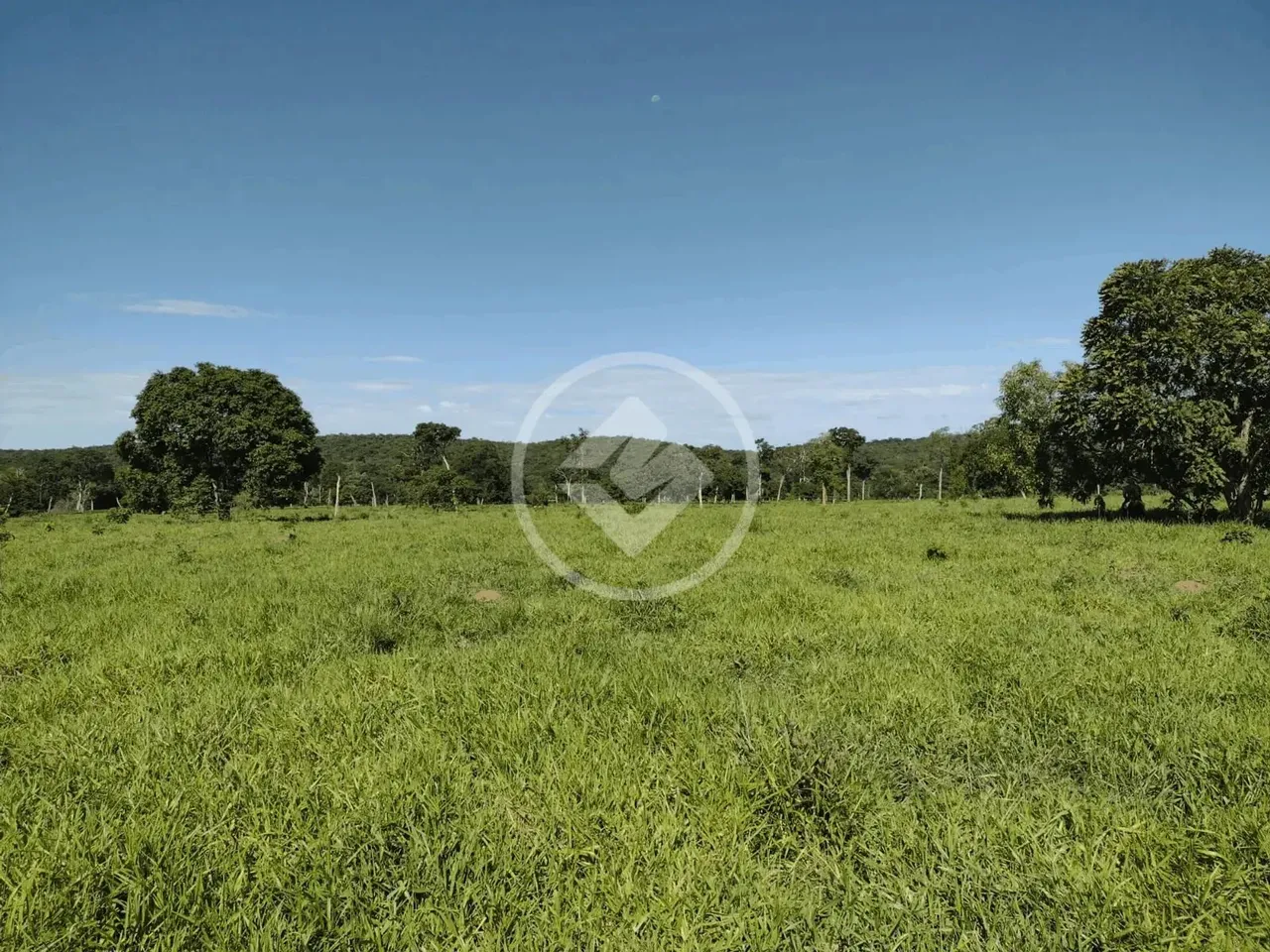 FAZENDA A VENDA - PRÓXIMO A CÁCERES - MATO GROSSO - R$ 70.000.000,00 - DOCUMENTADA codigo: