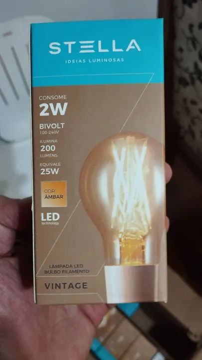 Kit com 30 Lâmpada LED Vintage 2W Bivolt - Stella