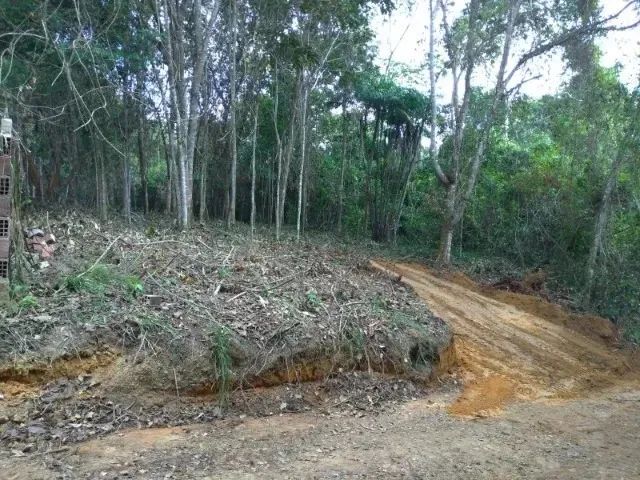 foto - São Lourenço da Mata - Centro