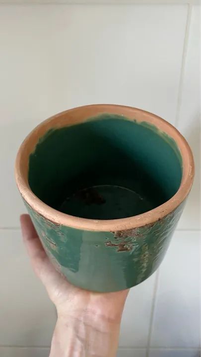 Vaso de planta verde e marrom - Foto 2