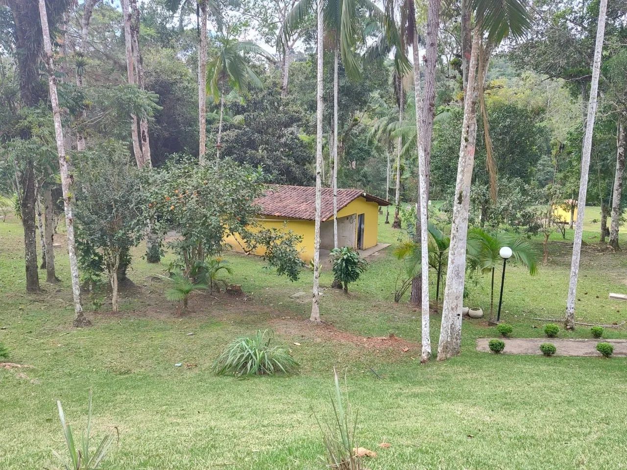 SÍTIO JUQUITIBA/MIRACATU SP  - Foto 4