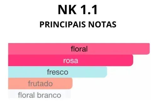 NK 1.1 Eau De Parfum NK Perfumes feminino 100ml - Foto 3