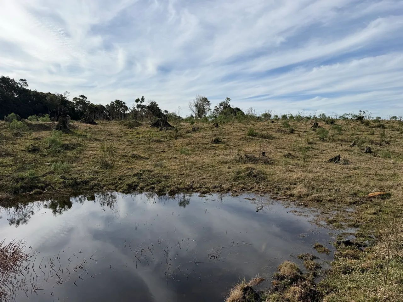 ANITÁPOLIS/SC - Um imóvel único na Serra Catarinense  - Foto 3