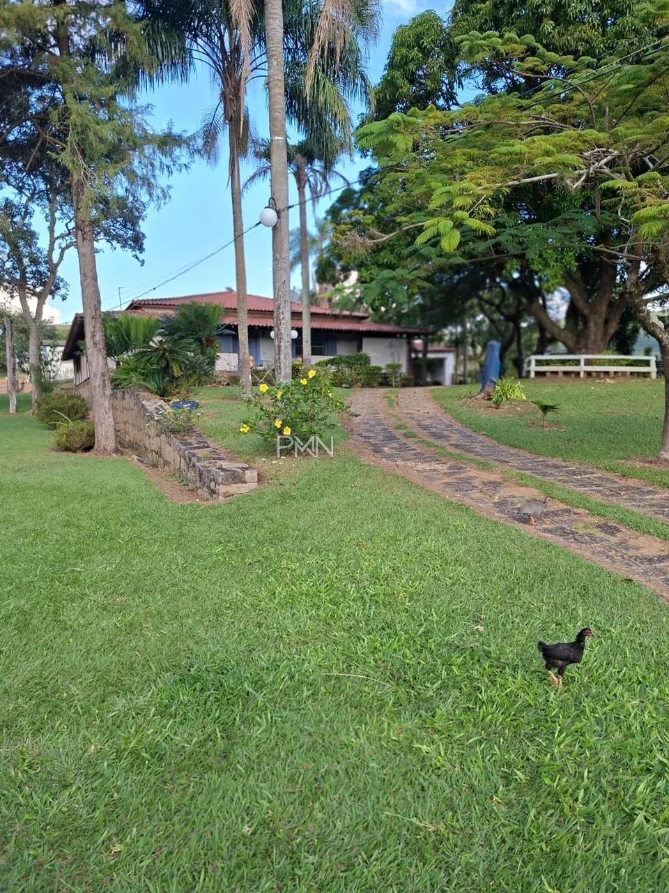 Sítio à venda em Campinas, Joaquim Egídio, com 5 quartos, com 20 alqueires - Foto 3