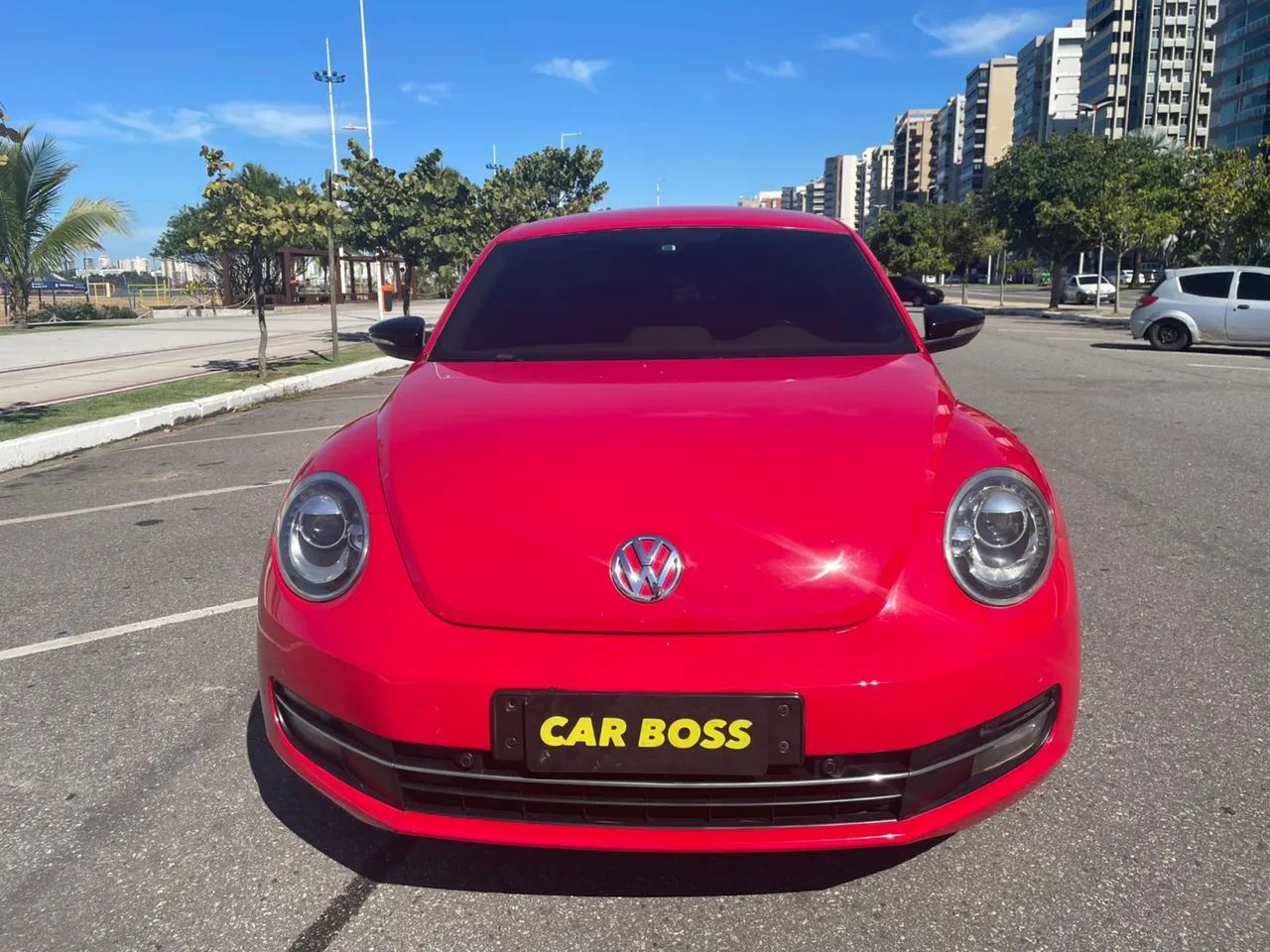 Volkswagen Fusca 2013