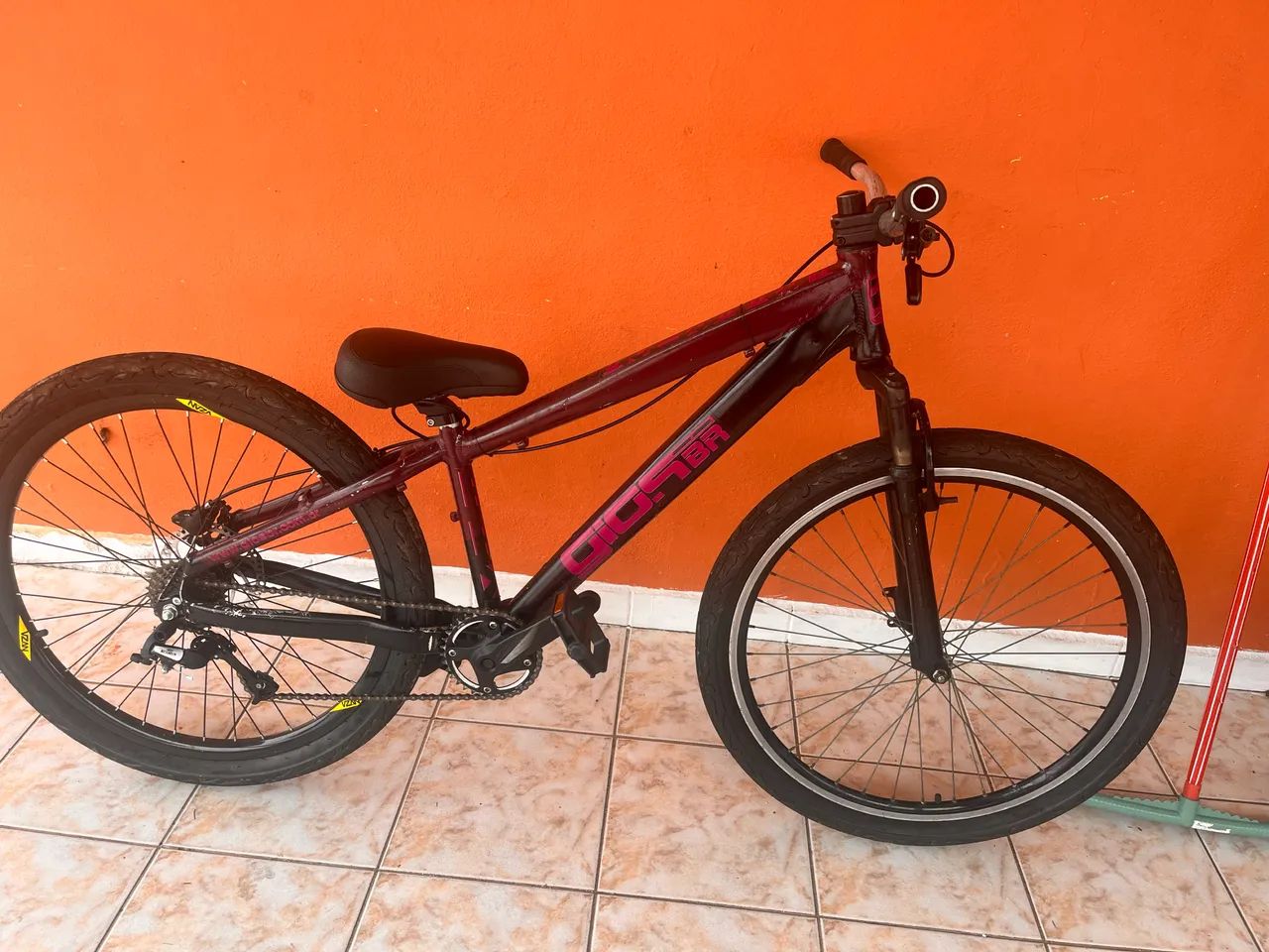 Gios roxa rara - Foto 5