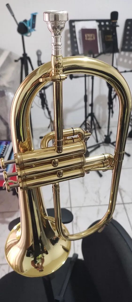 Flugelhorn  - Foto 2