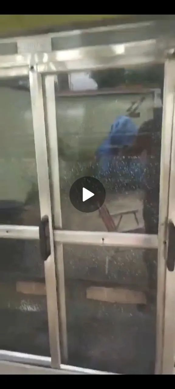 Frangueira  - Foto 2