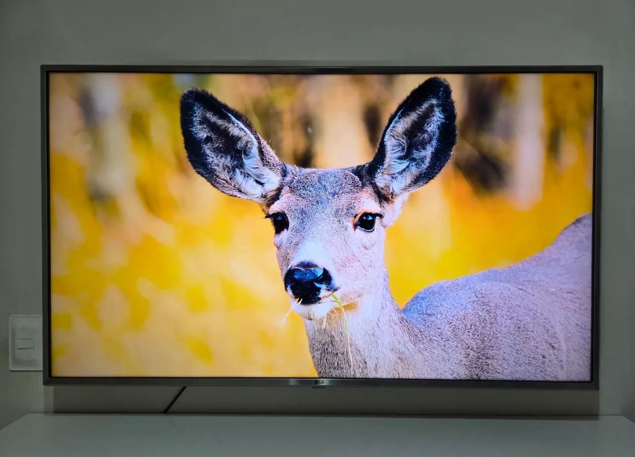 TV LG 4k Smart 50 polegadas