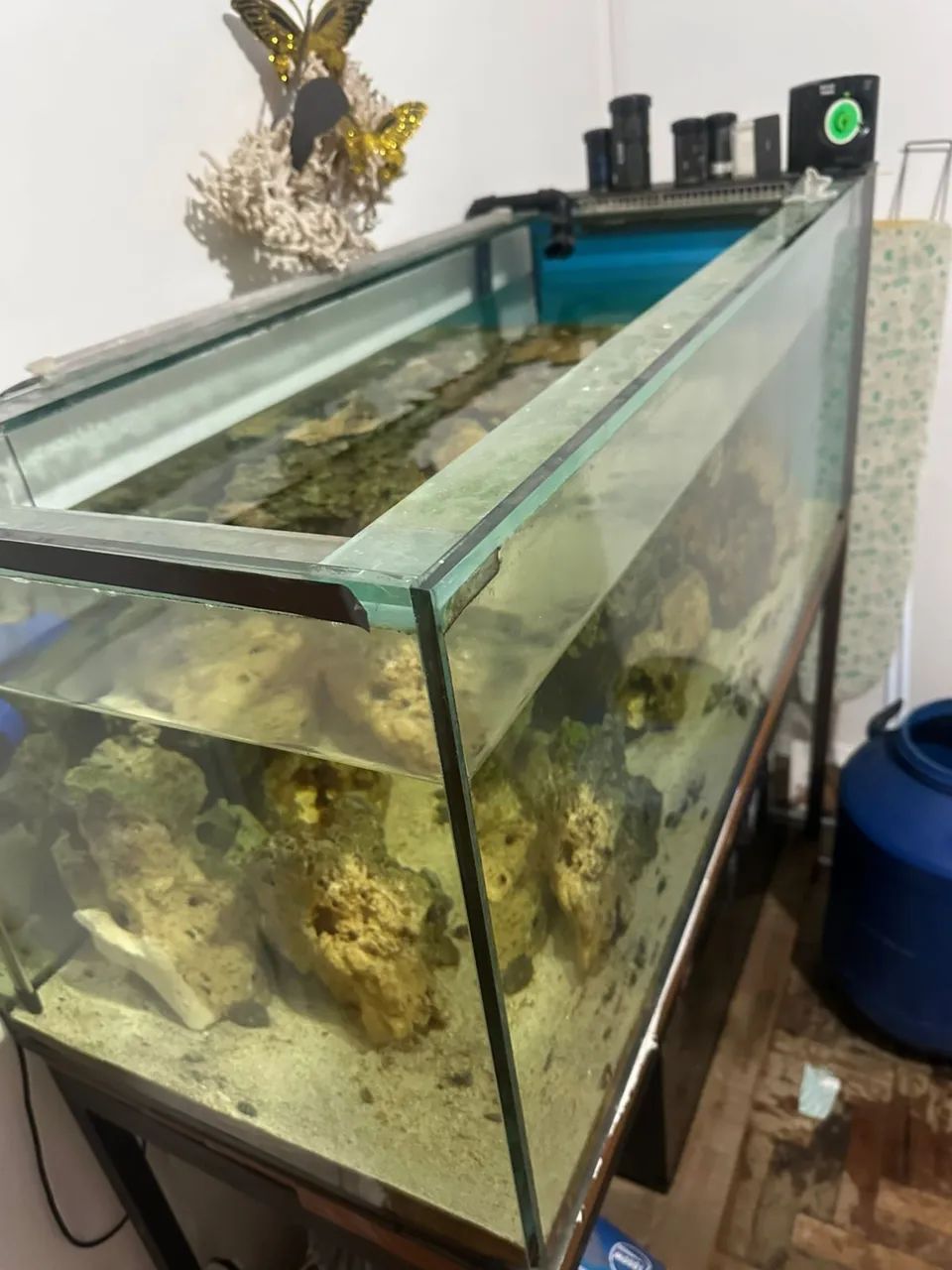 Aquário Marinho Completo 300L + Sump + Móvel + Equipamentos - Foto 6