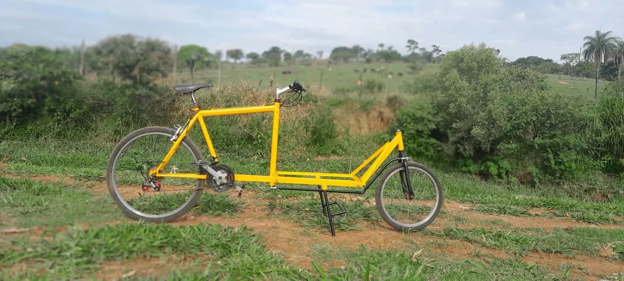 Cargo bike (bakfiets) - Foto 5