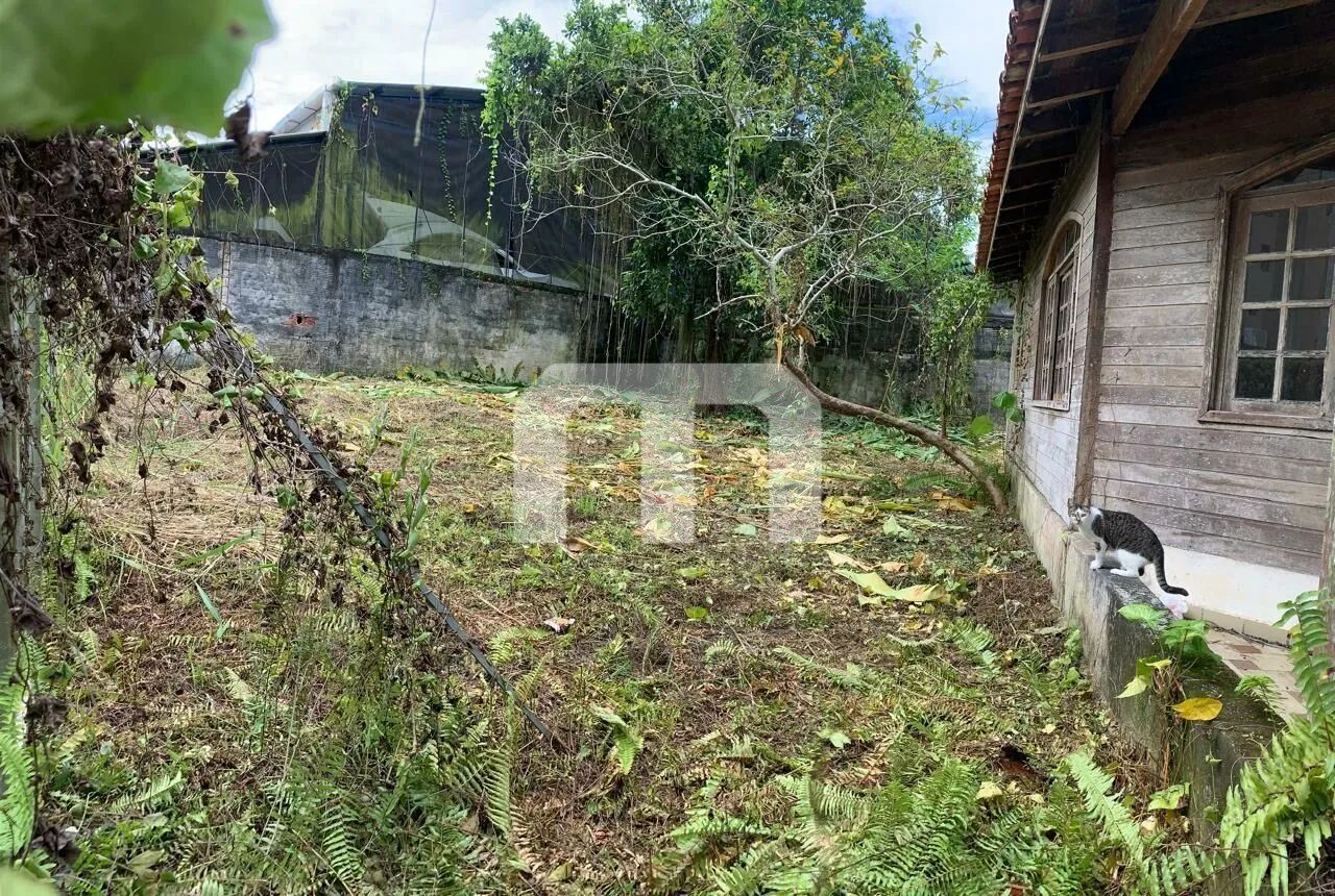 Terreno a venda com 585,00 M² próximo a praia de Tabatinga - Foto 3