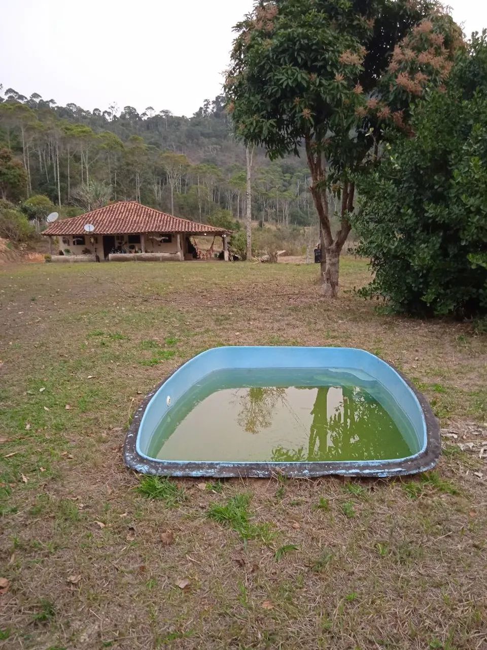 Alugo sítio em mercês mg