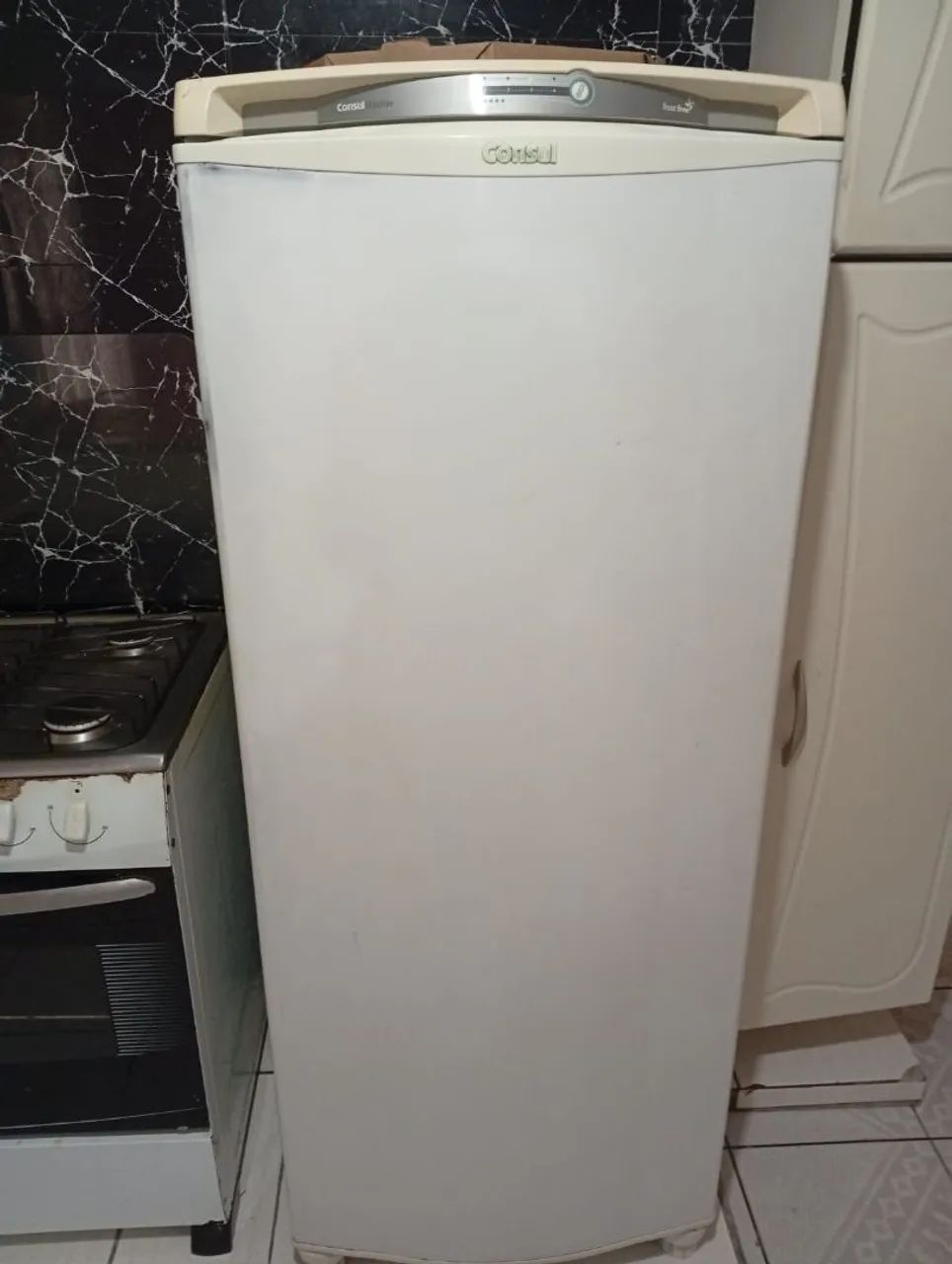 Geladeira Electrolux 