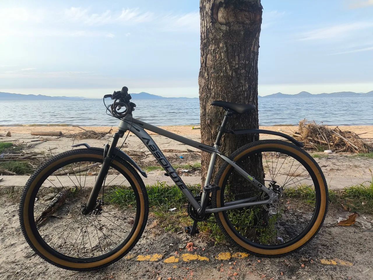 Bicicleta Aro 29