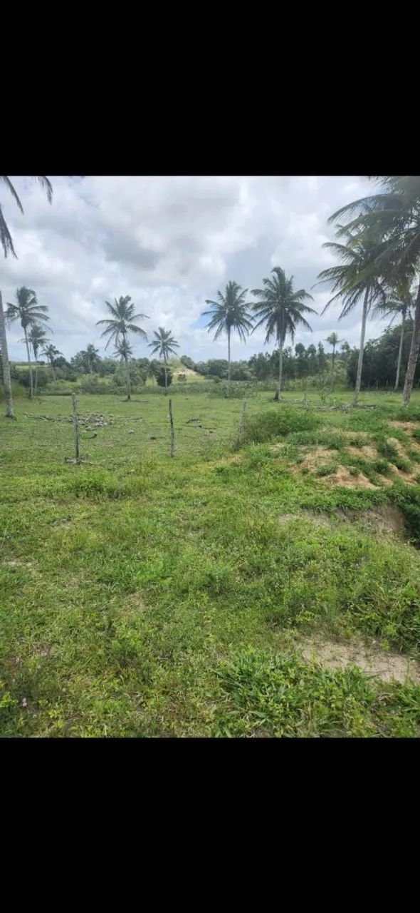 Vendo propriedade no povoado tombo 