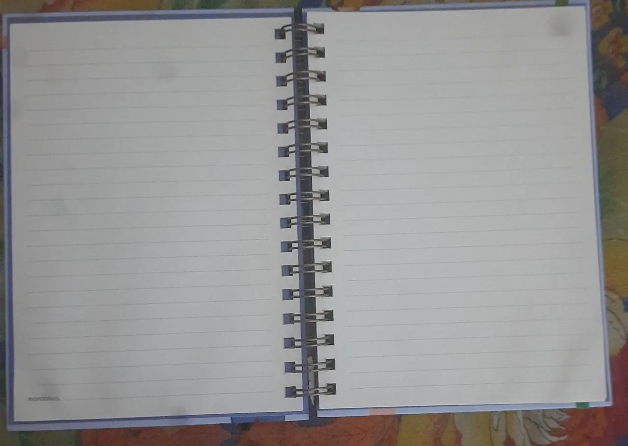 CADERNO CAPA DURA409382410393364483