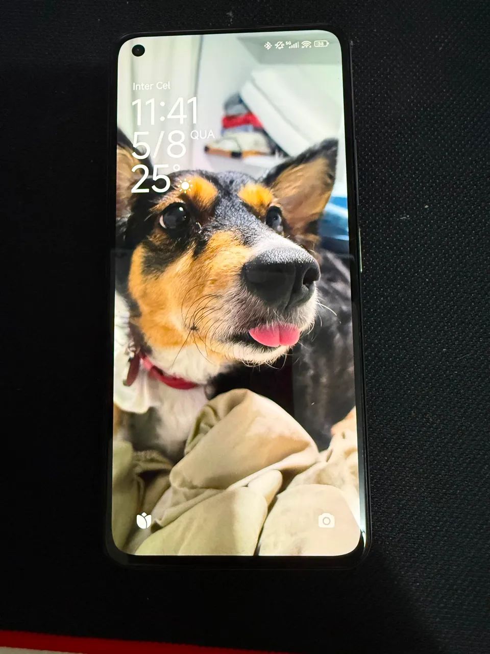 Celular xiaomi lite 11 5g - Foto 2