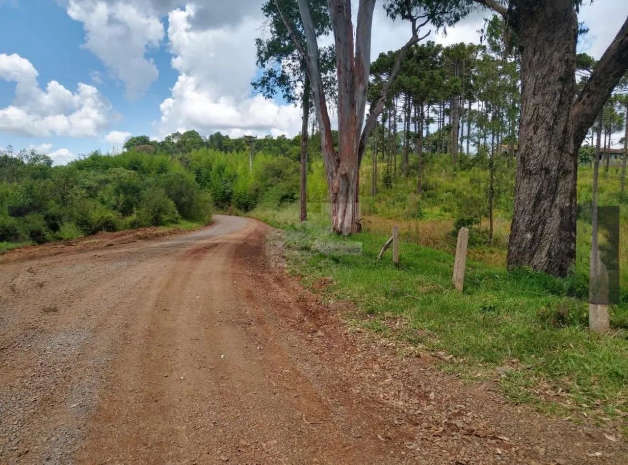Terreno Rural - Caçador/SC  - Foto 2