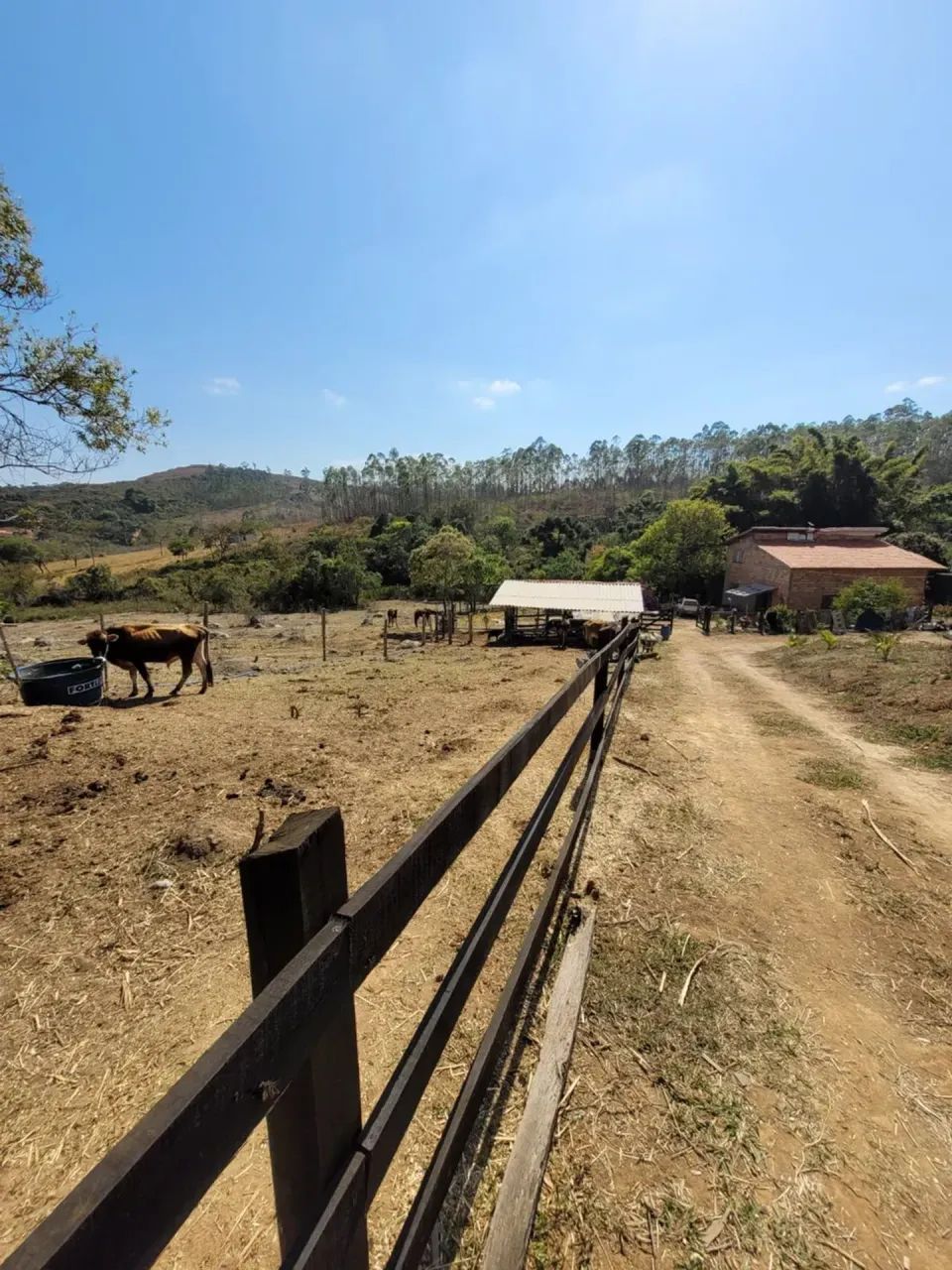 Sitio em Desterro de Entre Rios MG 2 hectares 20 mil metros 220 mil - Foto 4